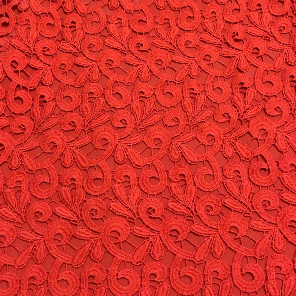 Ralph Lauren Coral Lace Midi Dress; NWT; Size 8 - Picture 3 of 16